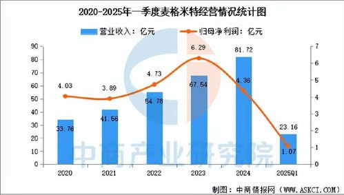 2025年中國AI服務(wù)器電源行業(yè)市場前景預(yù)測研究報(bào)告（簡版數(shù)據(jù)處理服務(wù)）