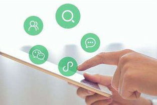 流量風口下的品牌困局 技術(shù)推廣的機遇與陷阱