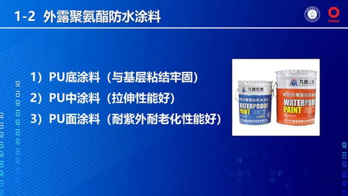 專家揭秘 中國(guó)未來(lái)值得推廣的十大類防水材料及技術(shù)
